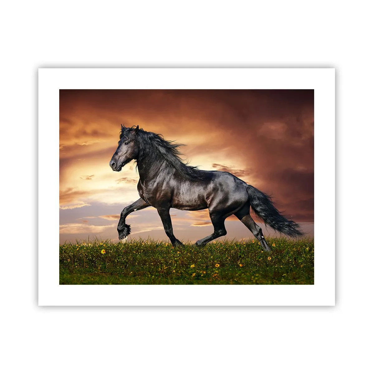 Poster - Prințul negru - 50x40 cm