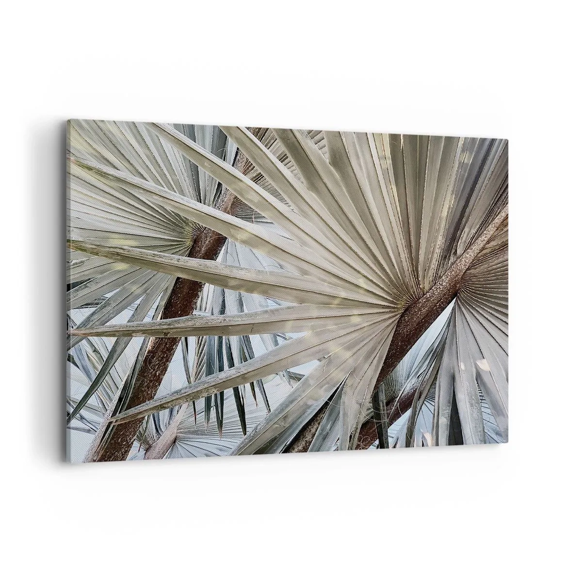 Tablou pe pânză - Evantaie din tropice - 120x80 cm