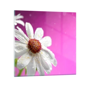 Tablou pe sticlă - Modestă în frumusețea ei - 60x60 cm