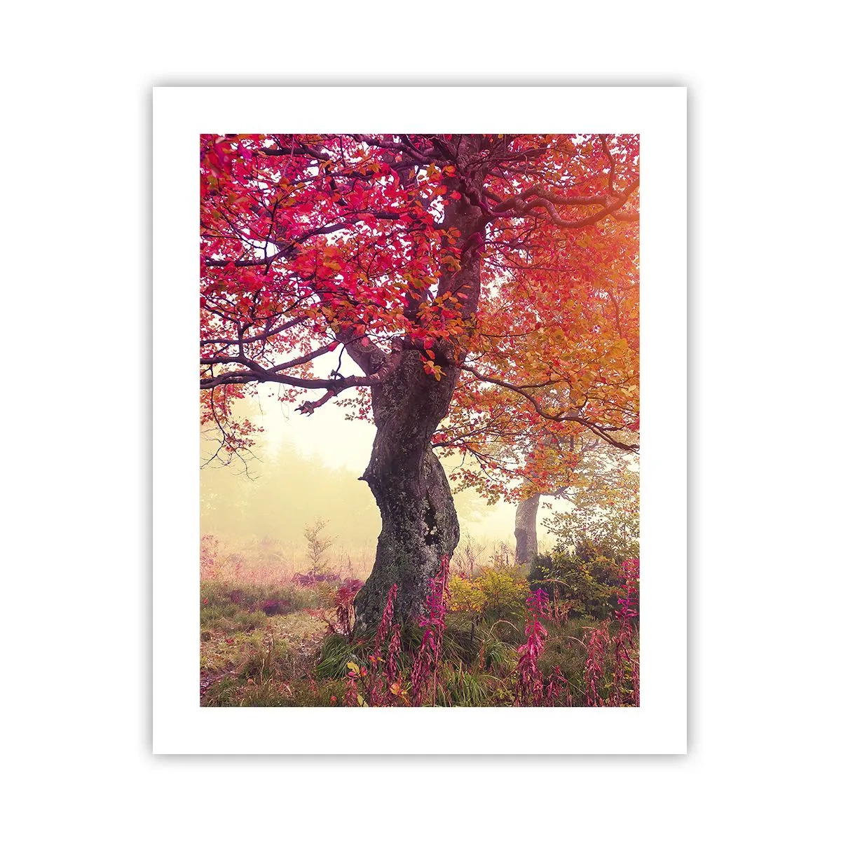Poster - O frenezie de înflorire - 40x50 cm