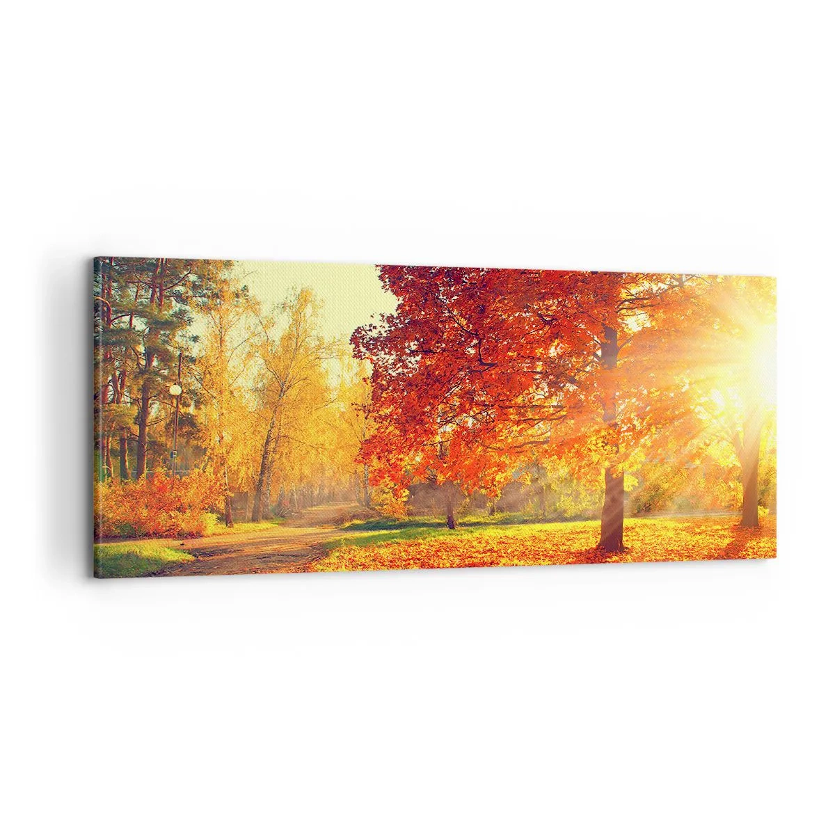 Tablou pe pânză - Roșcatul este frumos - 100x40 cm