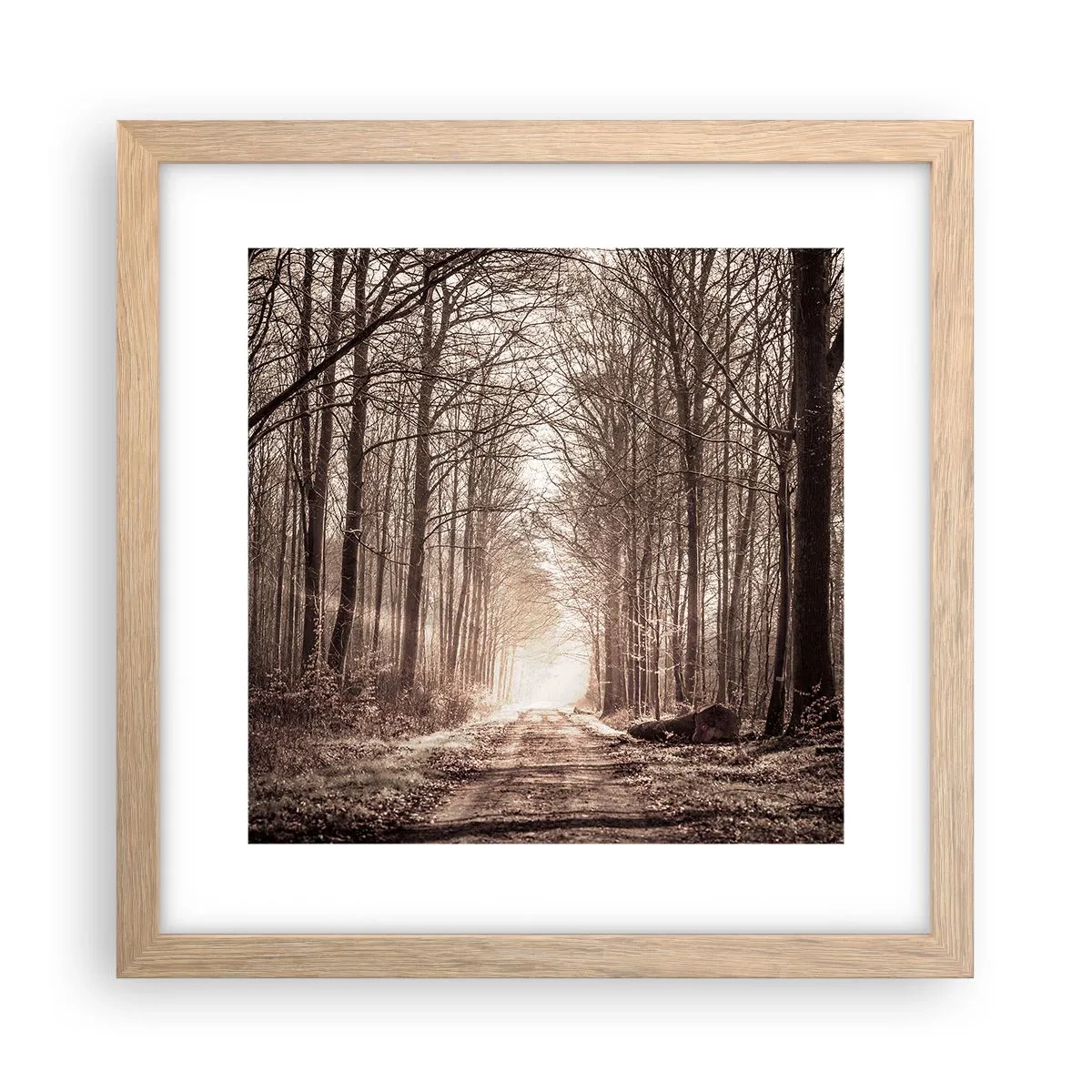 Poster în ramă de stejar deschis - Catedrala Forestieră - 30x30 cm