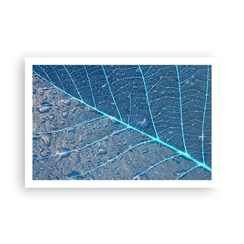Poster - Viața în albastru - 91x61 cm