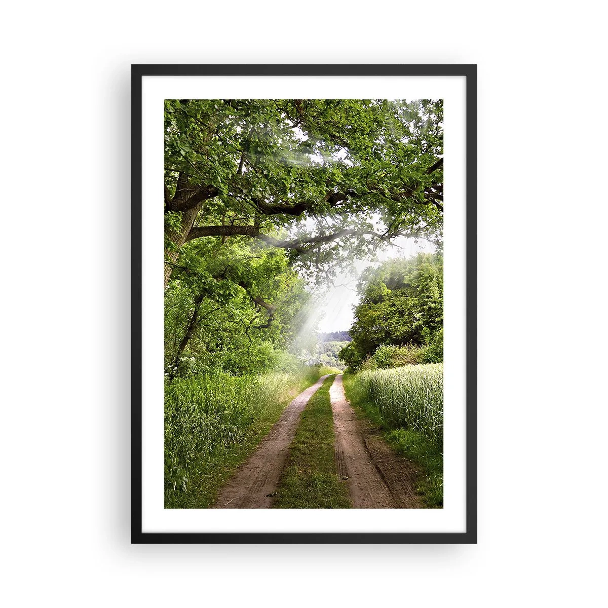Poster în ramă neagră - Un drum de pământ umbrit, înconjurat de copaci și pajiști luxuriante - 50x70cm - Et in Arcadia ego - Decorațiune modernă pentru perete pentru living și dormitor ARTTOR