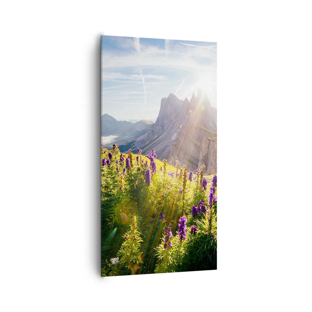 Tablou pe pânză - Viața secretă a ierburilor - 65x120 cm