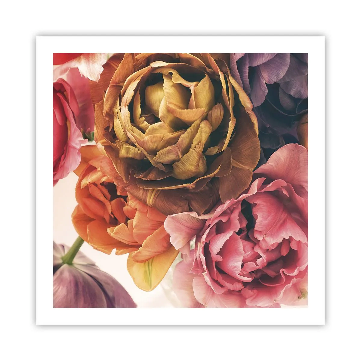 Poster - Sărbătorirea vieții - 60x60 cm