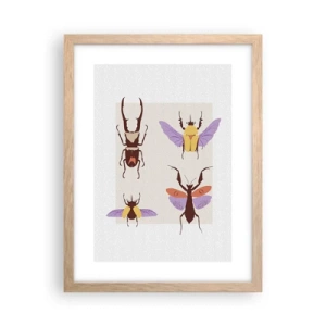 Poster în ramă de stejar deschis - Lumea insectelor - 30x40 cm