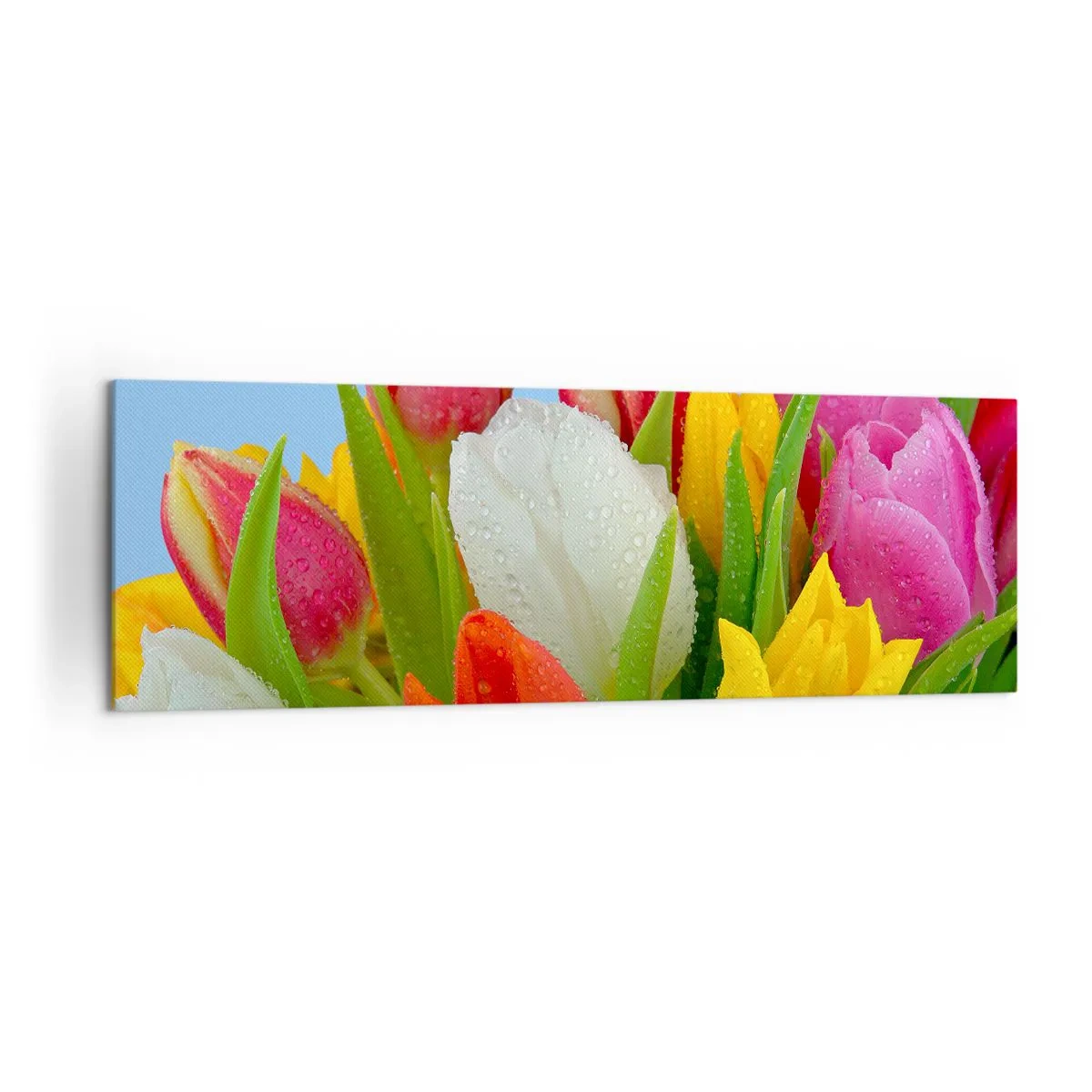 Tablou pe pânză - Un curcubeu floral în picături de rouă - 160x50 cm