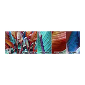 Mostră tapet autocolant Deluxe Sticker - Tufiș colorat - Frunze, Botanică, Boho - 100x30 cm