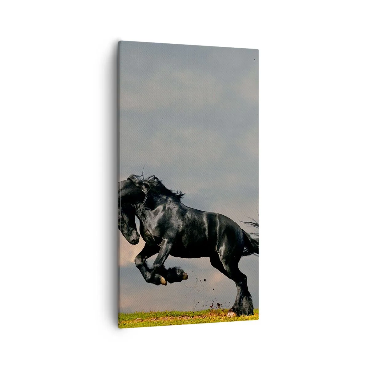 Tablou pe pânză - Frumos și liber - 55x100 cm