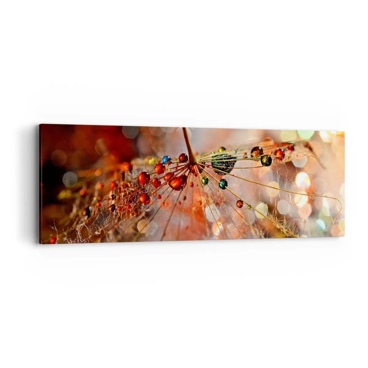 Tablou pe pânză - Înfipt pe pânza de păianjen - 90x30 cm