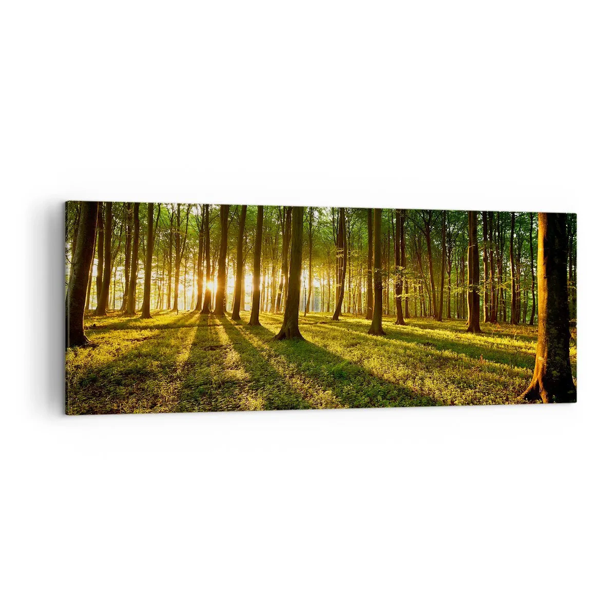 Tablou pe pânză - Fotografia tuturor primăverilor - 140x50 cm