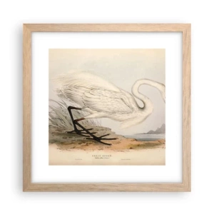 Poster în ramă de stejar deschis - Doamna în stufărișuri - 30x30 cm