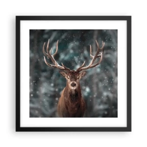 Poster în ramă neagră - Regele pădurii a fost încoronat - 40x40 cm