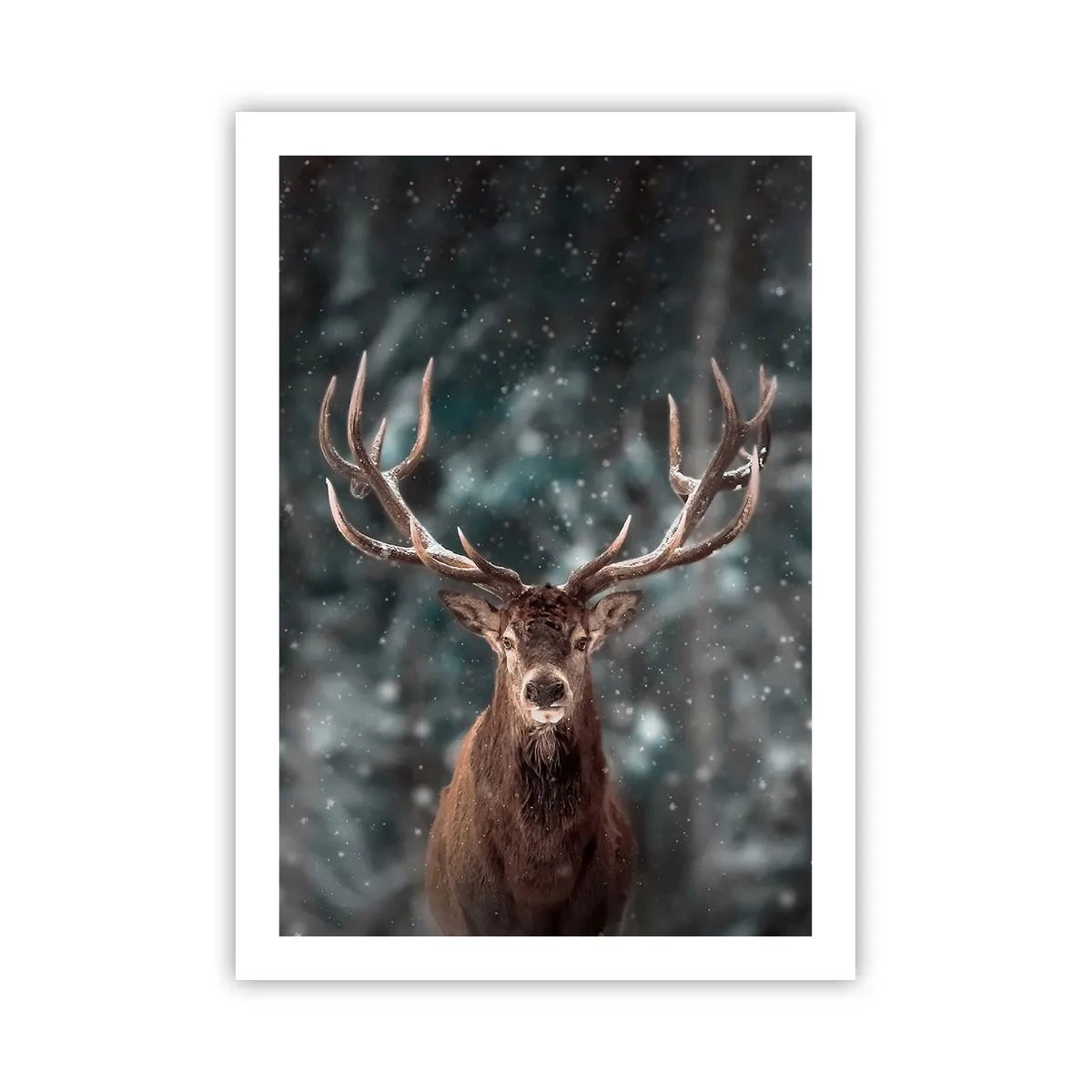 Poster - Regele pădurii a fost încoronat - 50x70 cm