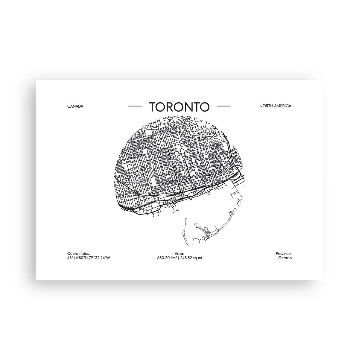 Poster - Anatomia Toronto - 100x70 cm
