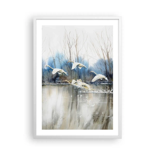 Poster în ramă albă - Dansând cu lebedele sălbatice - 50x70 cm
