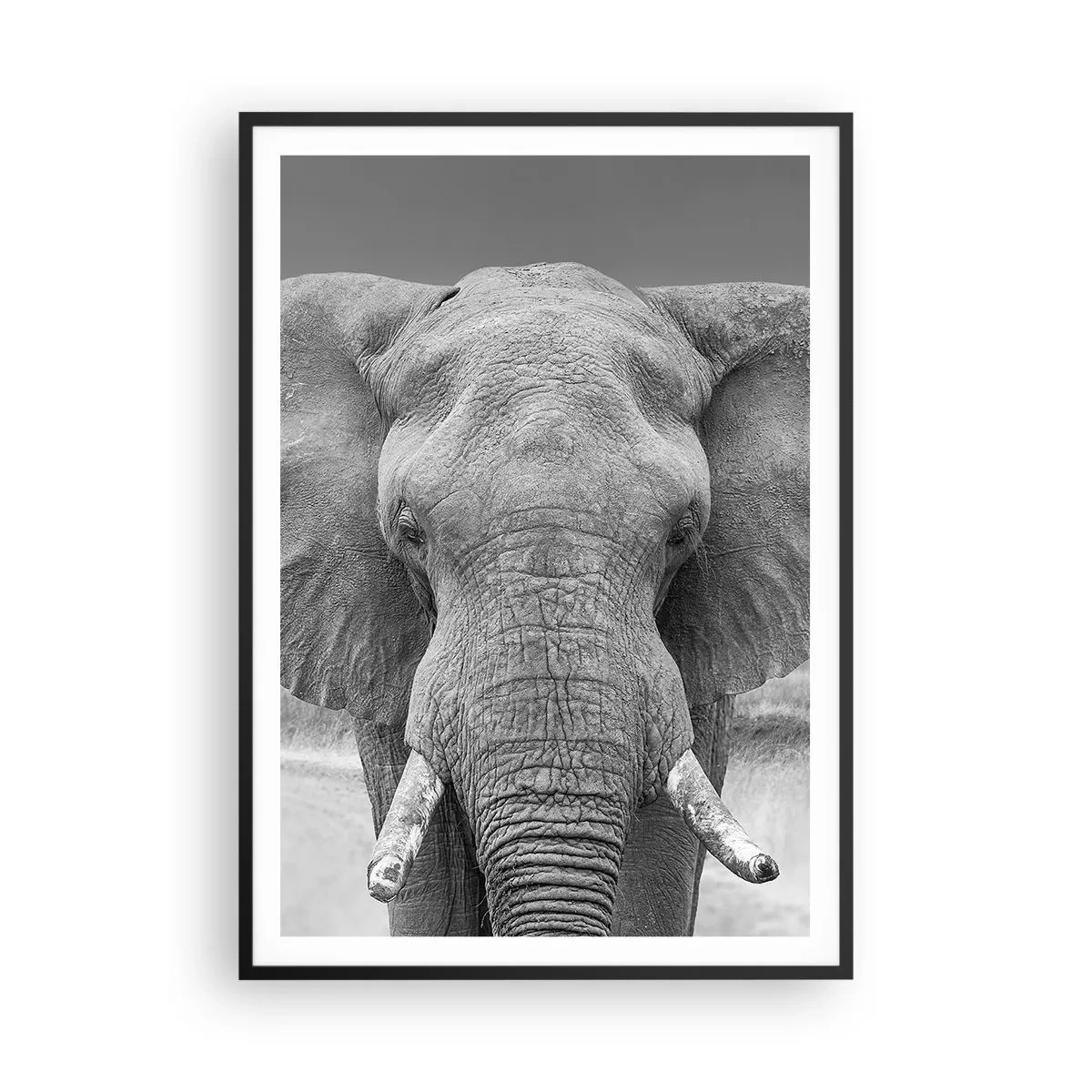 Poster în ramă neagră - Bun venit în lumea mea - 70x100 cm