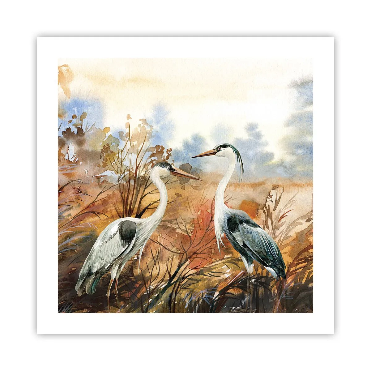 Poster - Încotro în toamnă? - 50x50 cm