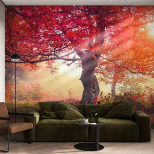 Tapet Standard Eco - Peisaj de toamnă cu copaci în lumină aurie - 100x70cm - O frenezie de înflorire - Decorațiune modernă pentru perete pentru living și dormitor ARTTOR