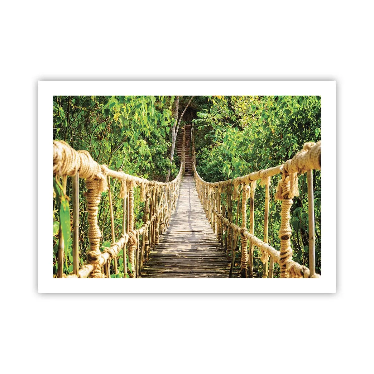 Poster - Suspendat în verde - 70x50 cm