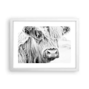 Poster în ramă albă - Sălbăticie scoțiană - 40x30 cm