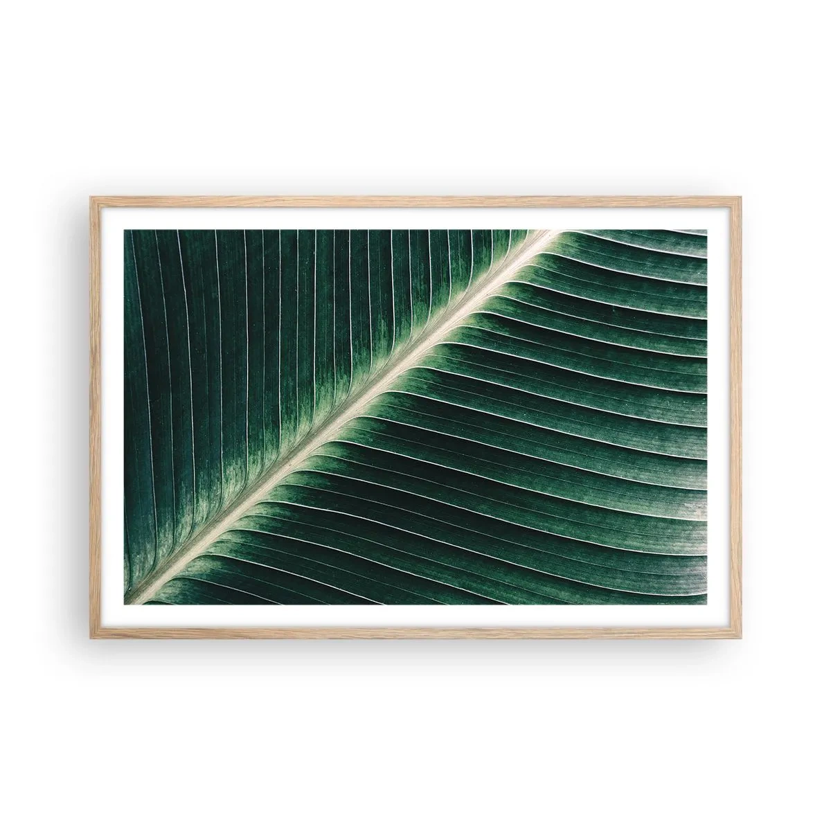 Poster în ramă de stejar deschis - Ritmul naturii - 91x61 cm