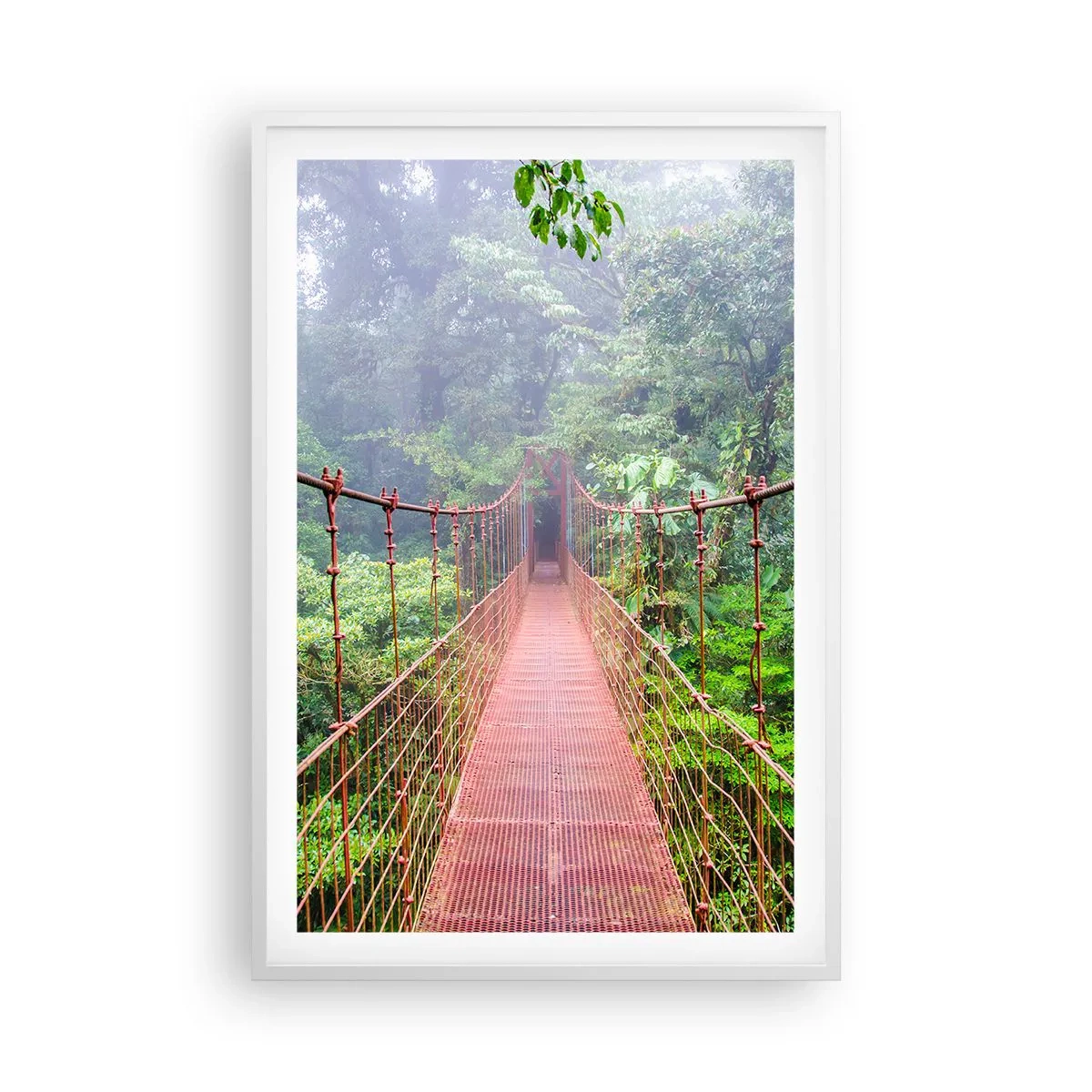 Poster în ramă albă - Suspendat deasupra coroanelor arborilor - 61x91 cm