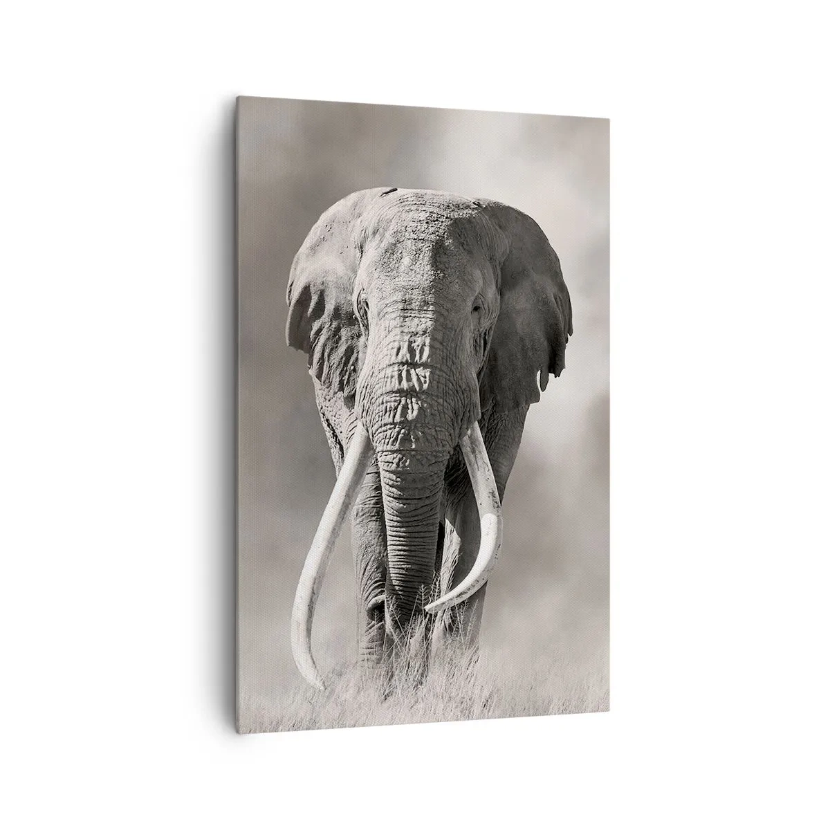 Tablou pe pânză - Patriarh african - 80x120 cm