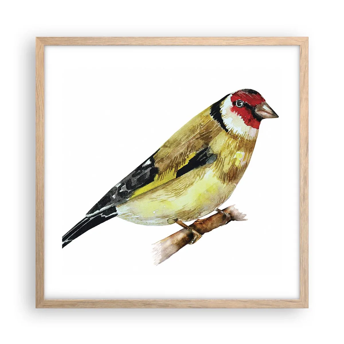 Poster în ramă de stejar deschis - Portret de pasăre - 50x50 cm