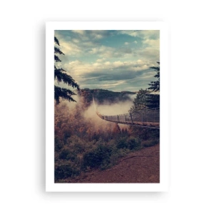 Poster - Deasupra pădurii de toamnă - 50x70 cm