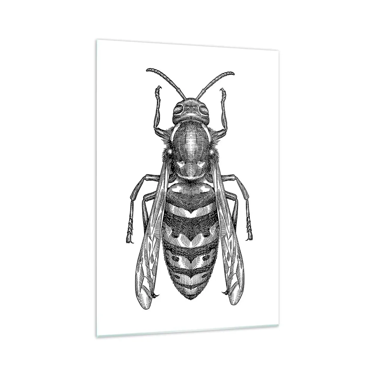 Tablou pe sticlă - De pe o planetă de insecte - 70x100 cm