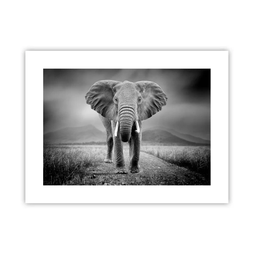 Poster - Gazda te salută - 40x30 cm