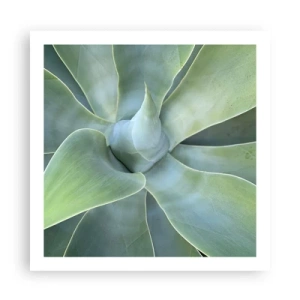 Poster - Nașterea verdeții - 60x60 cm