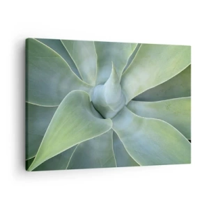 Tablou pe pânză Canvas - Frunze subtile de agave în nuanțe de verde - 70x50cm - Nașterea verdeții - Decorațiune modernă pentru perete pentru living și dormitor ARTTOR