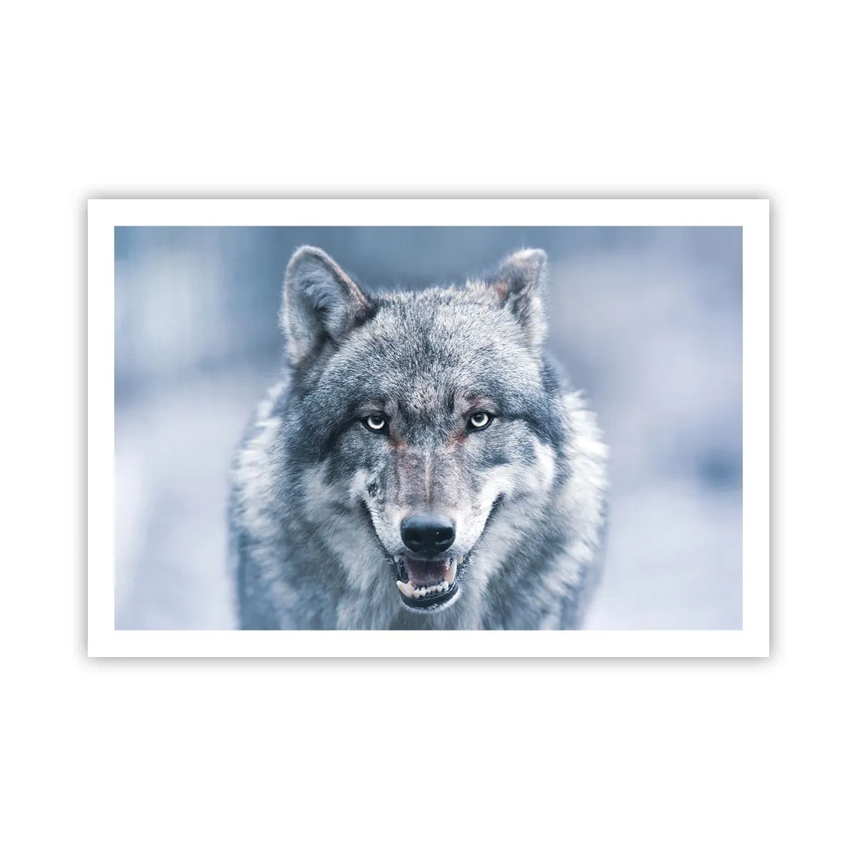 Poster - Accepți provocarea? - 91x61 cm