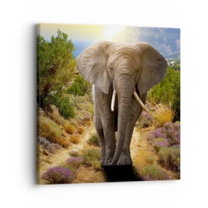 Tablou pe pânză - Iată cum arăta Edenul - 30x30 cm