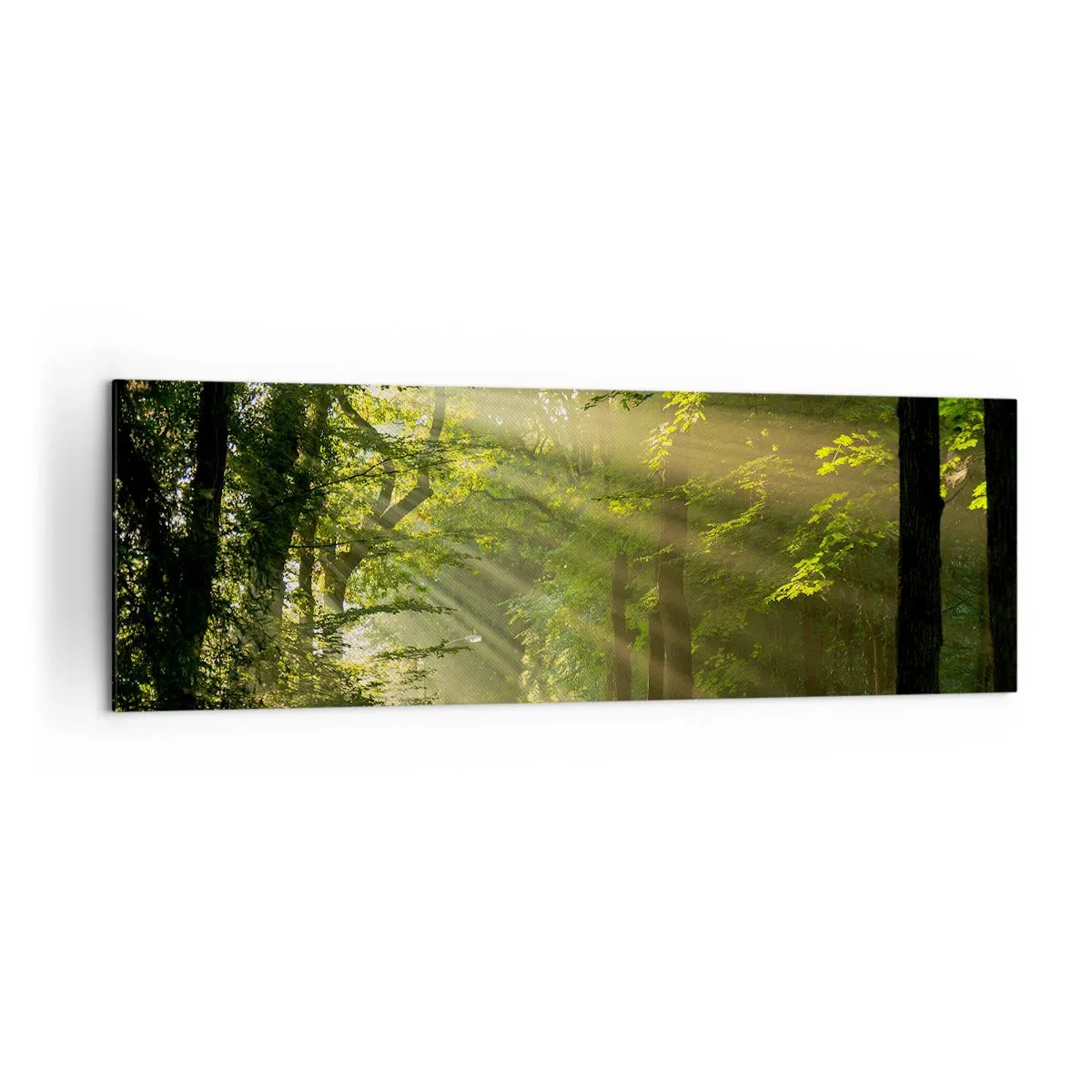 Tablou pe pânză - Moment de pădure - 160x50 cm