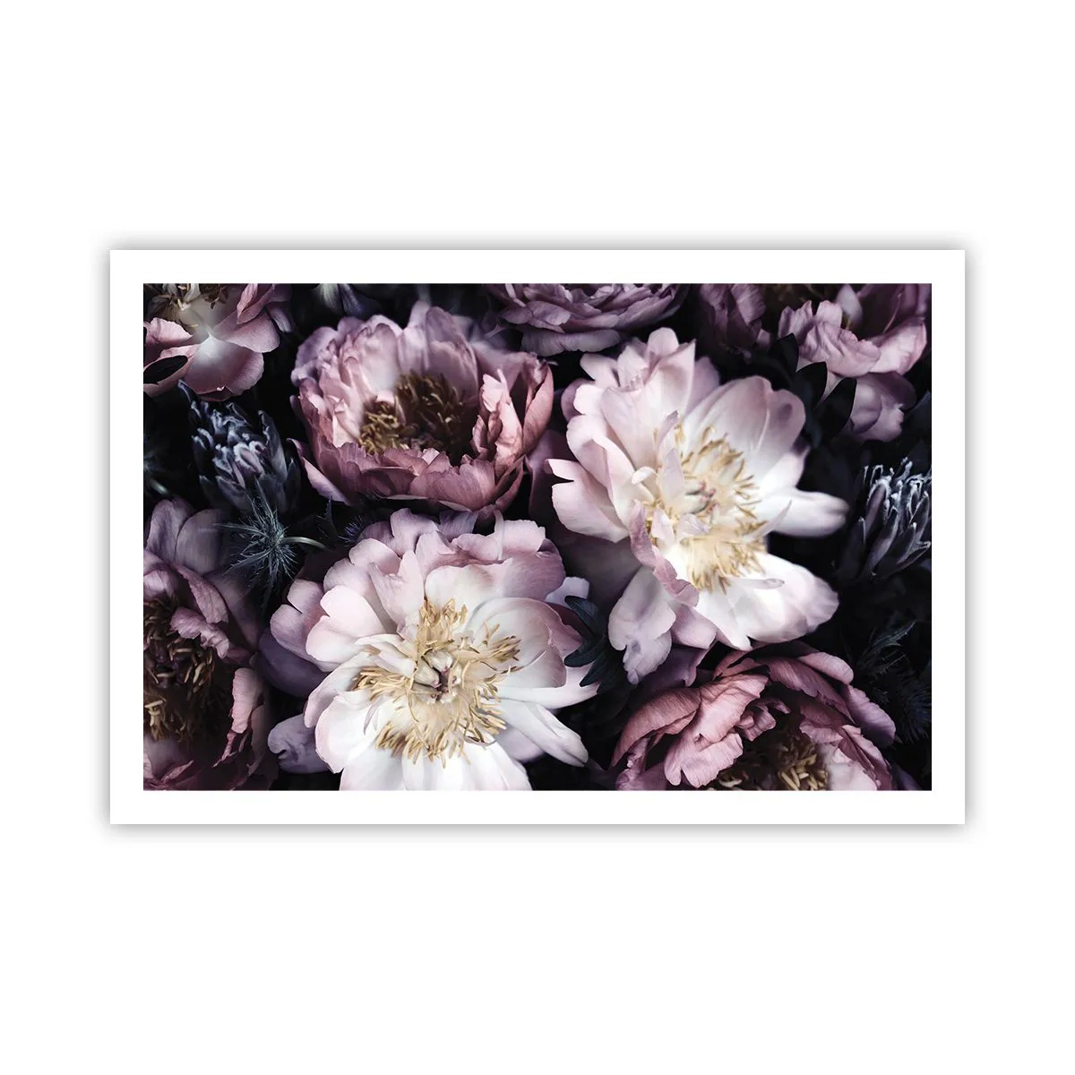 Poster - Buchet în stil vechi - 91x61 cm
