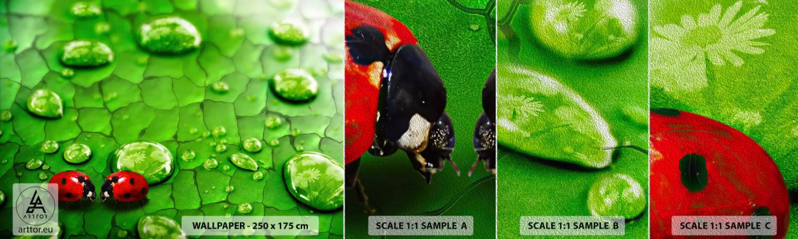 Mostră tapet Premium Sand - Întâlnire în verde - Natură, Buburuza, O picătură de apă - 100x30 cm