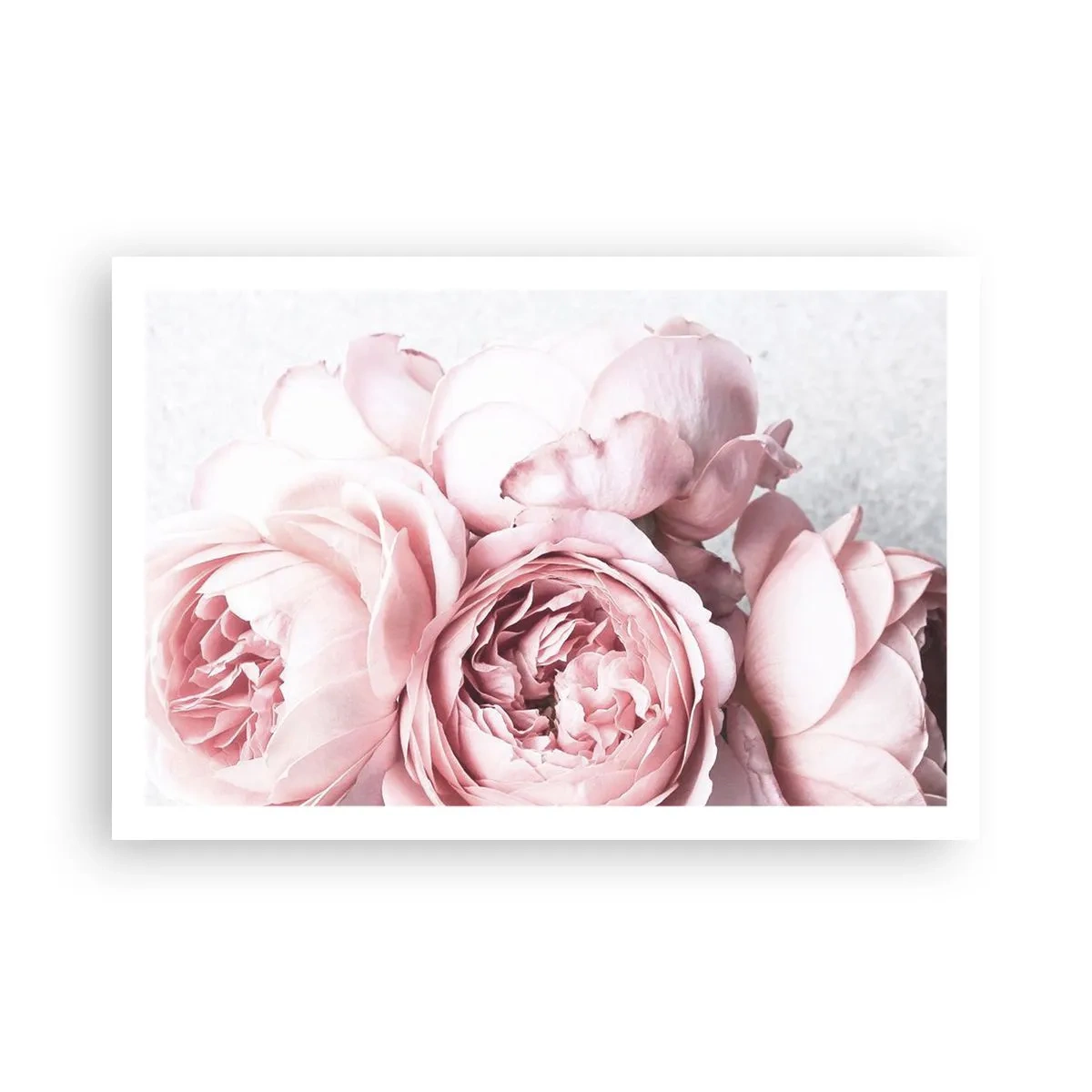 Poster - Pentru romantici - 91x61 cm