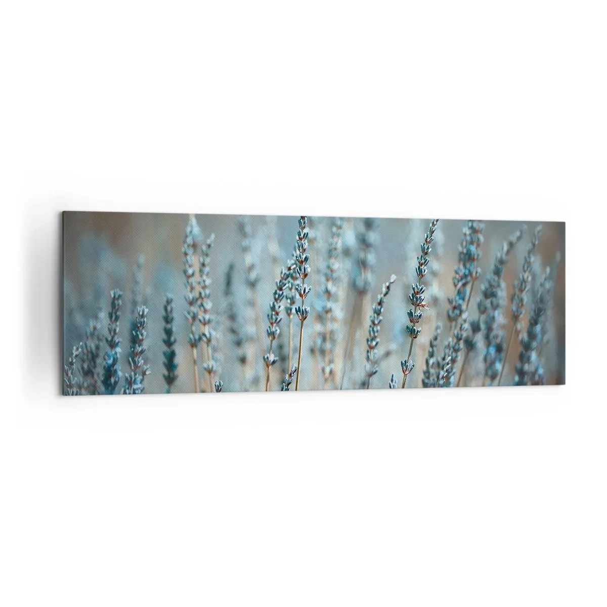 Tablou pe pânză - Câmpul parfumat - 160x50 cm