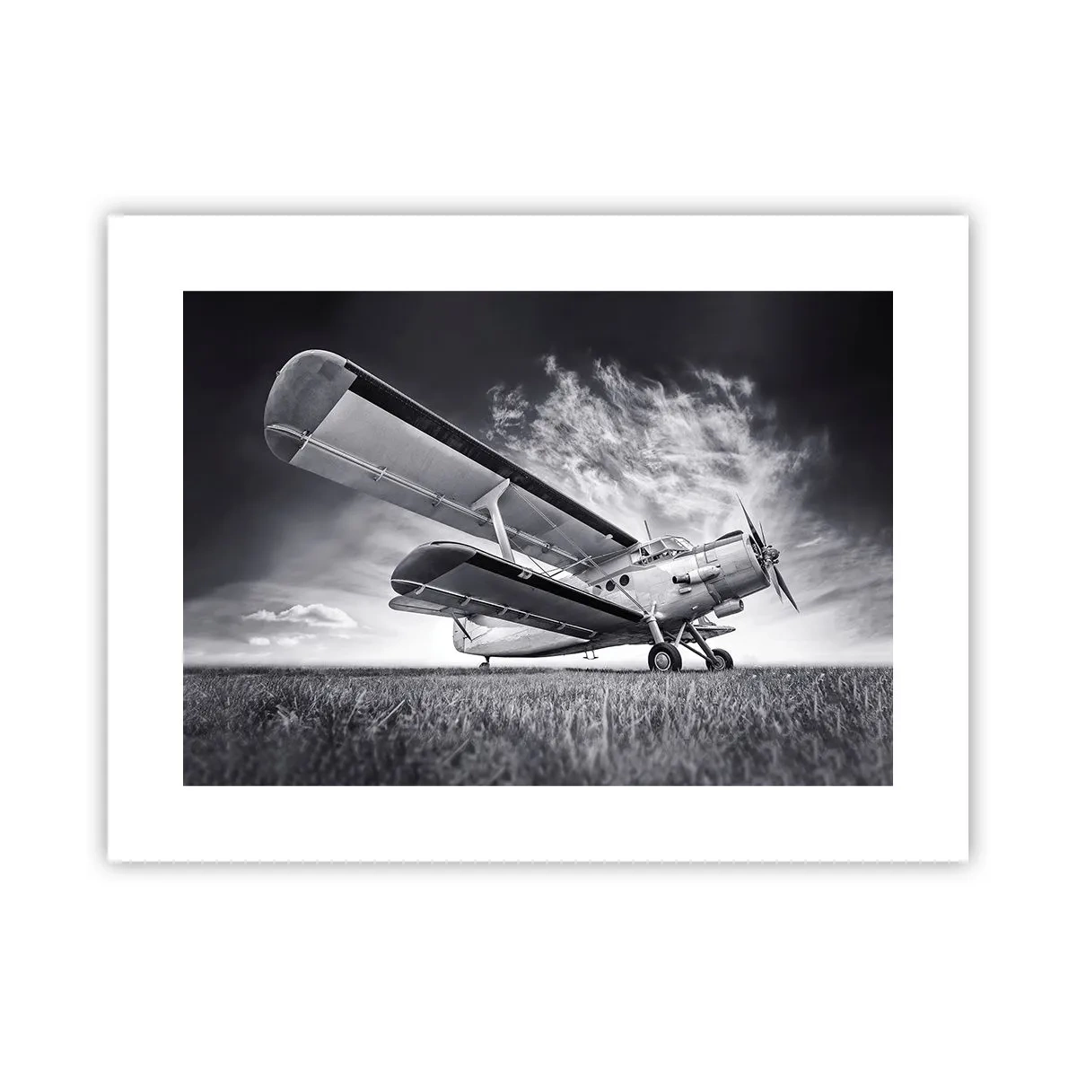 Poster - Rătăcitorul înaripat - 40x30 cm