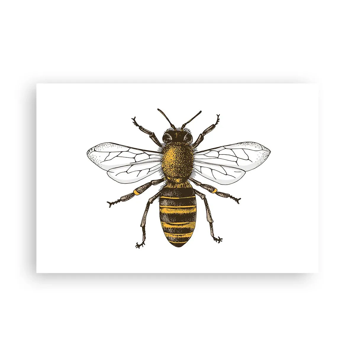 Poster - Frumoasă și bună - 91x61 cm