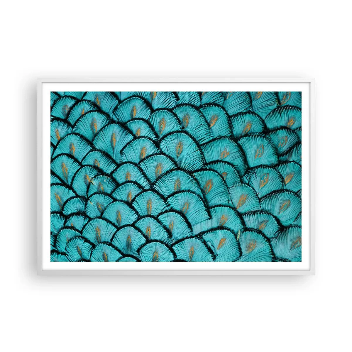Poster în ramă albă - Marea gală a penelor - 100x70 cm