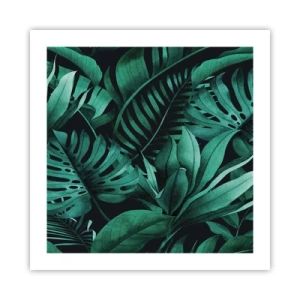 Poster - Profunzimea verdelui tropical - 50x50 cm