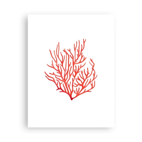 Poster - Coral filigranat - 30x40 cm