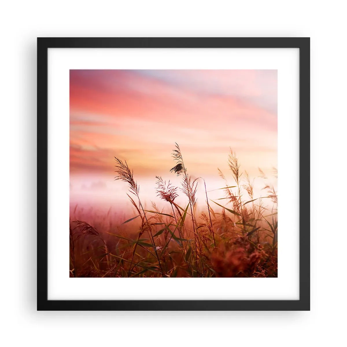 Poster în ramă neagră - Zmeuri, suflante, vânt - 40x40 cm