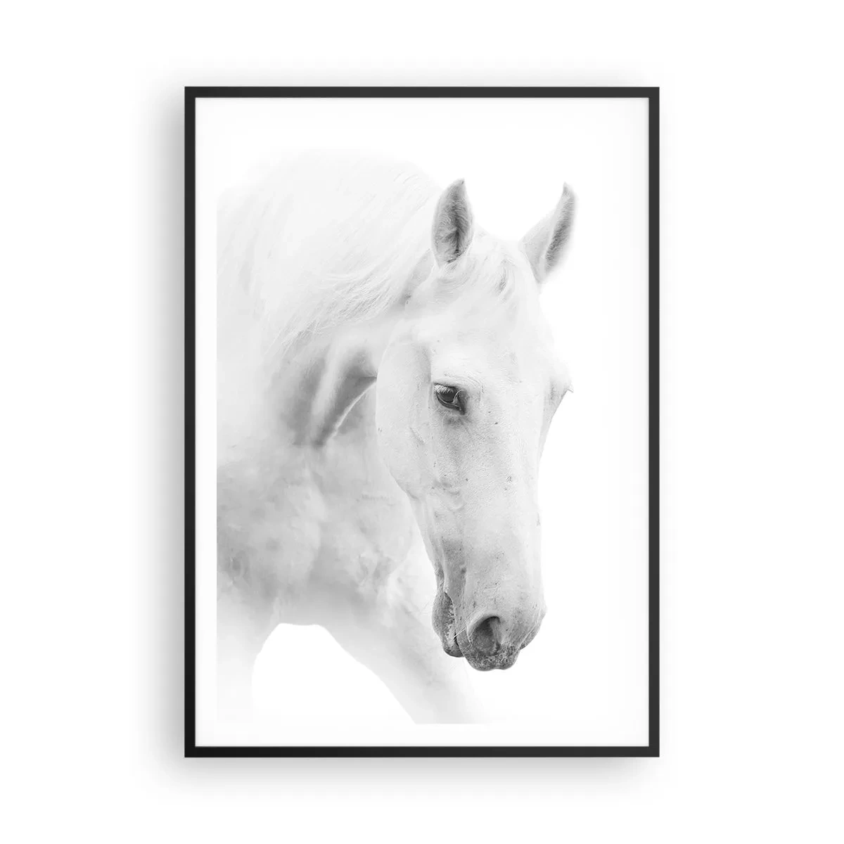 Poster în ramă neagră - Este aceasta o prietenie...? - 70x100 cm
