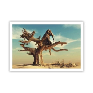 Poster - Un nou punct de vedere - 91x61 cm